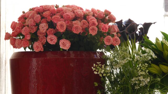 fleuriste