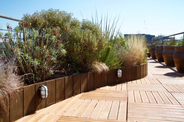entretien terrasse végétalisée d'entreprise