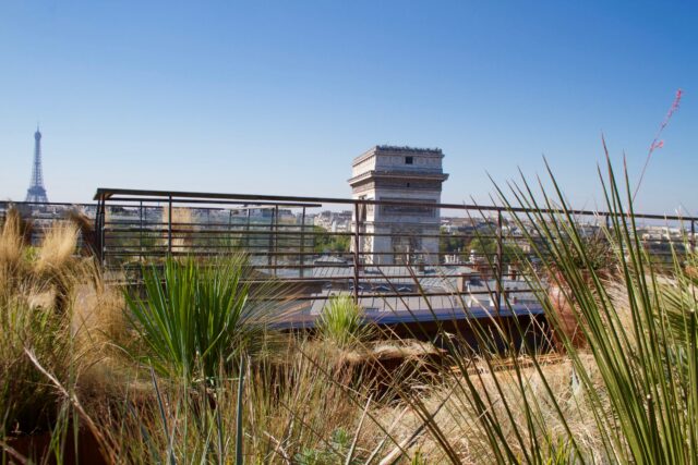 Toit terrasse – BNP – ©sauvaje