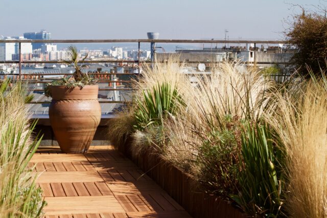 Toit terrasse – BNP – ©sauvaje