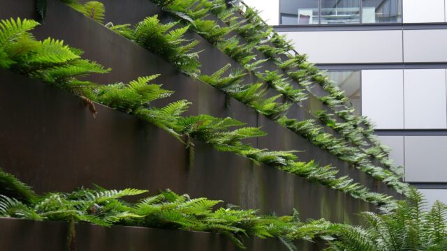 Création et entretien de jardins – Bouygues Technopole – ©sauvaje