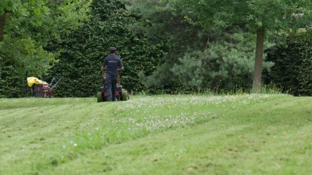 Création et entretien de jardins – Bouygues Technopole – ©sauvaje