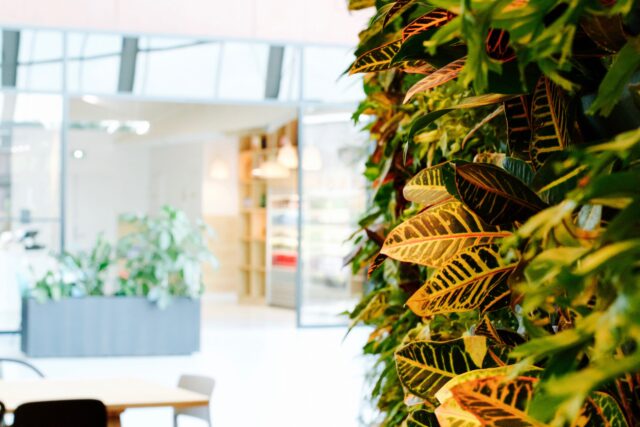 Sièges sociaux, entreprises & espaces de coworking