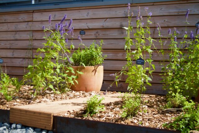création et entretien de jardin d&rsquo;entreprise – ©sauvaje