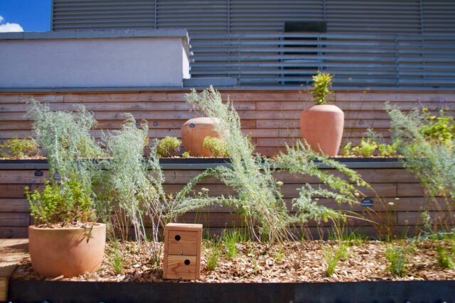 création et entretien de jardin d&rsquo;entreprise – ©sauvaje