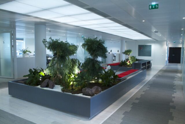 Création et entretien de patio intérieur – Location de plantes vertes en entreprise – ©sauvaje