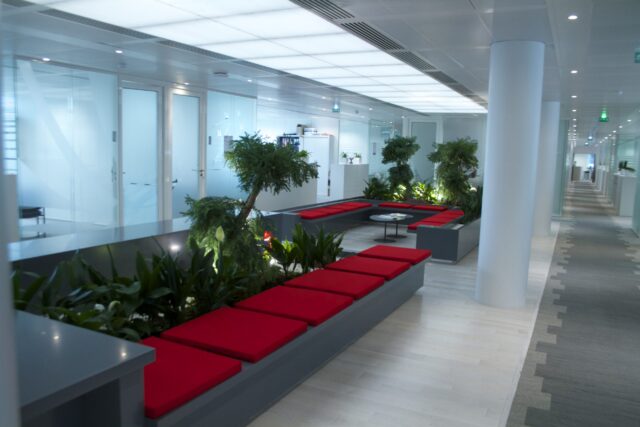 Création et entretien de patio intérieur – Location de plantes vertes en entreprise – ©sauvaje