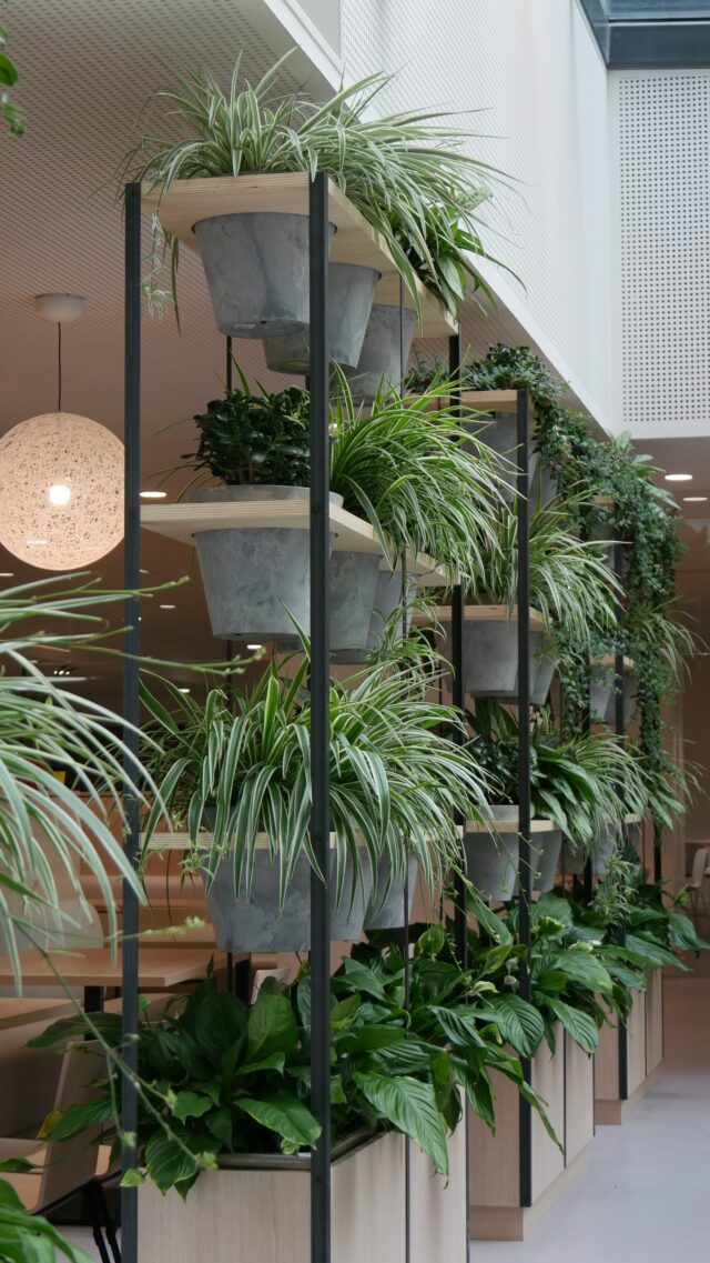Création et entretien paysage intérieur – ©sauvaje