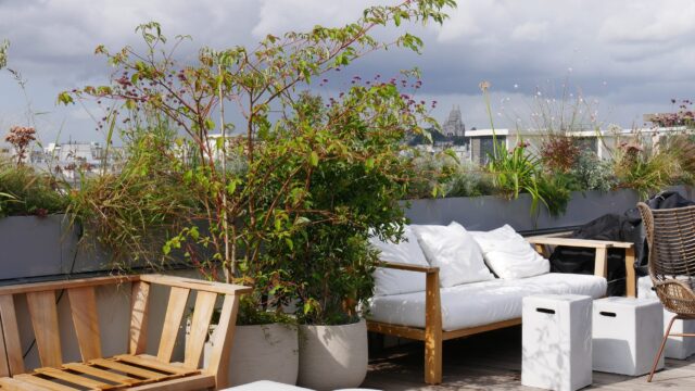 Hôtels de luxe, restaurants et lieux de réception