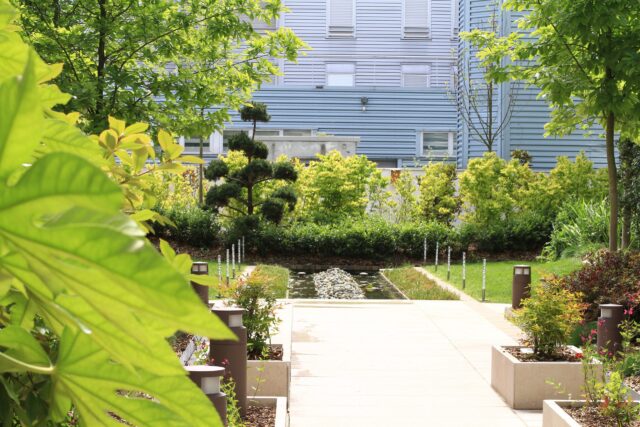 Création et entretien de jardin vivant – ©sauvaje