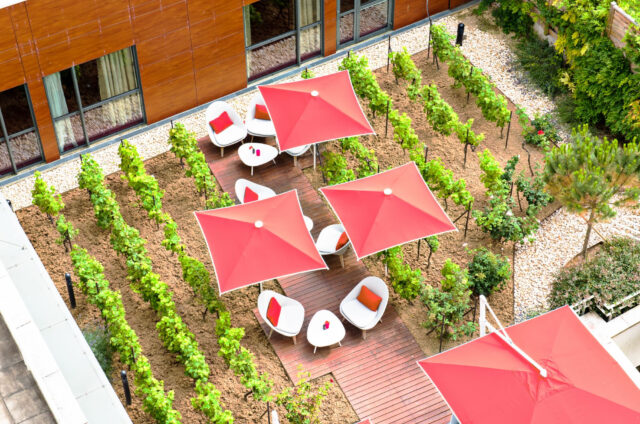 Création et entretien de terrasse – Hôtel de luxe et palace  – ©sauvaje