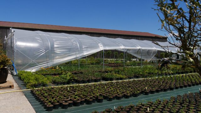 Production horticole – ©sauvaje