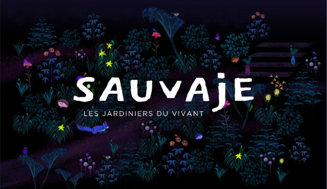 ILLUSTRATION SAUVAJE LOGO