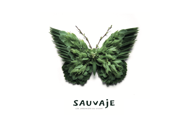 carte ©sauvaje