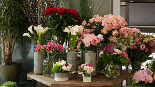 16_0819 BOUTIQUE SUFFREN32