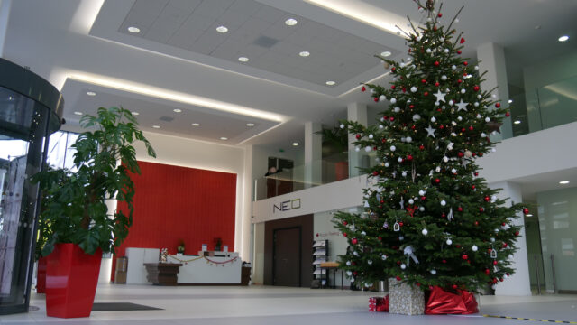 Décorations de Noel en entreprise – ©sauvaje