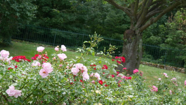 Création et entretien de jardins – Résidence privée – ©sauvaje