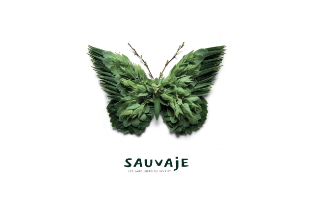 Papillon Sauvaje