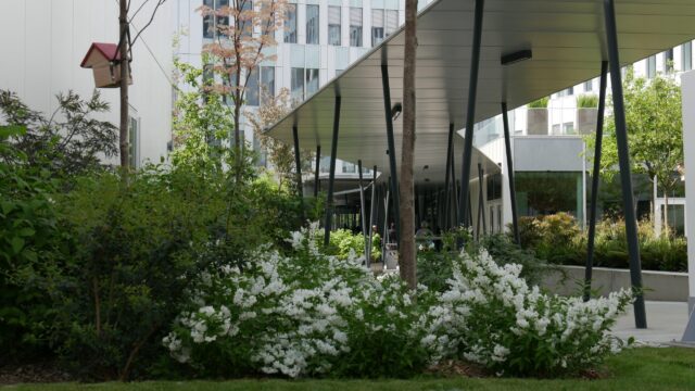 Jardin d&rsquo;entreprise