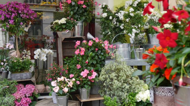 16 05 27 boutique orsay fete des meres 52