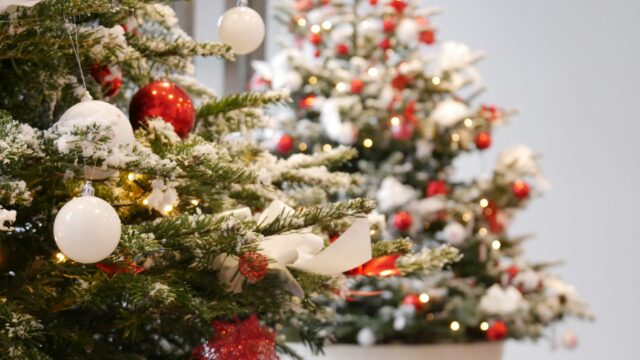 Décorations de Noël en entreprise – ©sauvaje