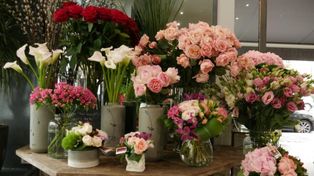 16_0819 BOUTIQUE SUFFREN51