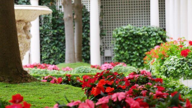 Création et aménagement de jardins –  ©sauvaje