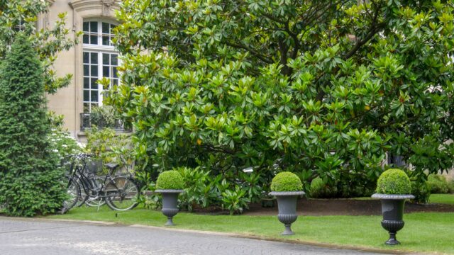Jardin parisien