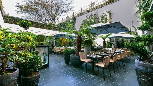 aménagement de terrasse végétale à Paris