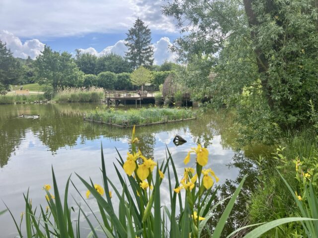 aménagement de jardins en pente dénivelés