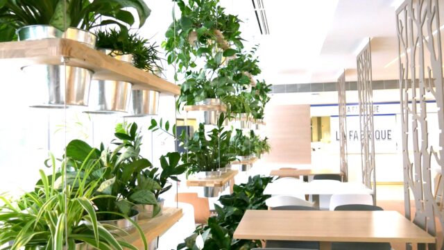 2017 04 05 PUBLICIS BASTILLE RIE 1-2