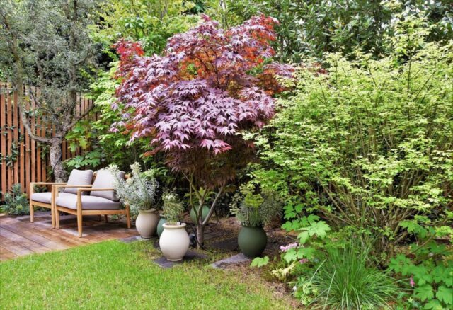 Entreprise réalisation terrasse bois et jardins luxe paris