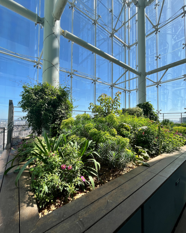 Terrasse intérieure d&rsquo;entreprise