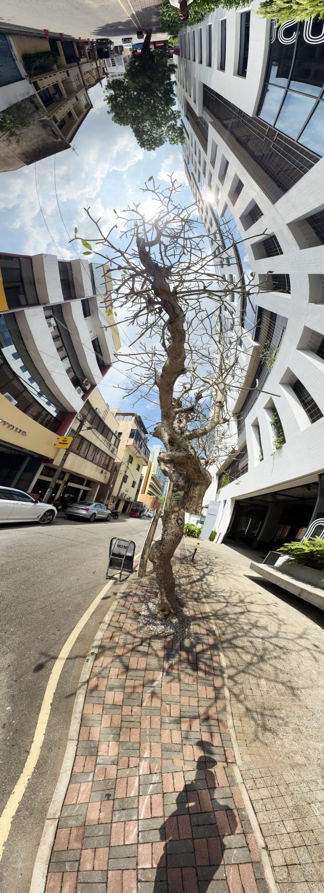 Colombo, Sri Lanka: Après lepassage du cyclone.