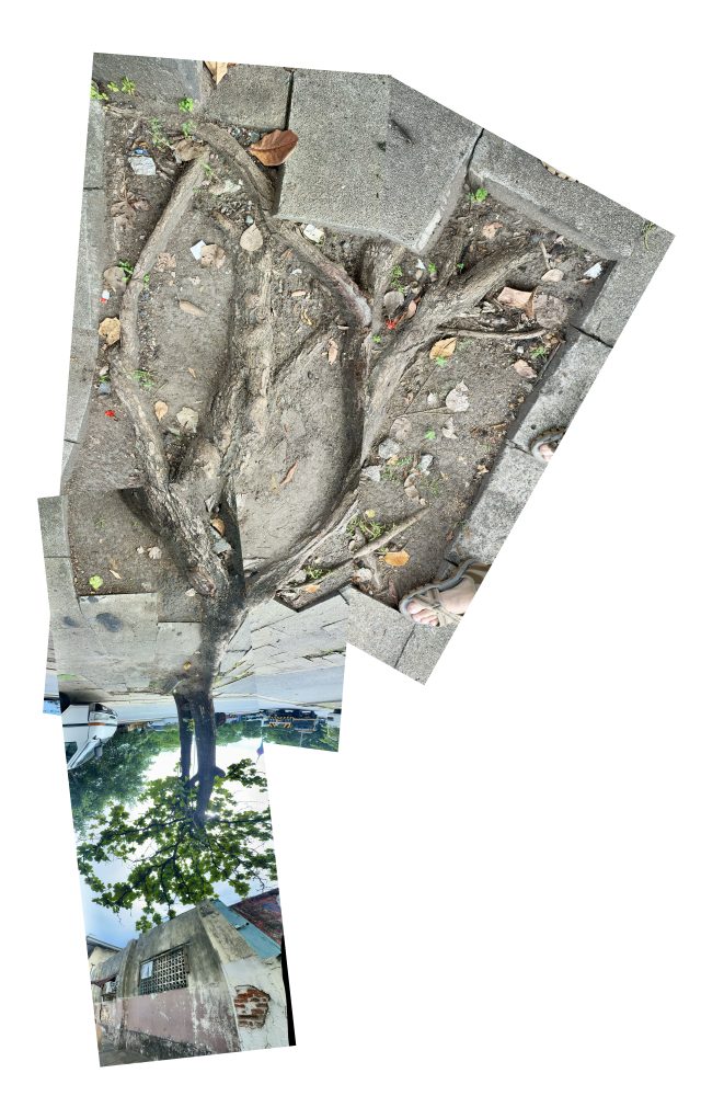 Colombo, Sri Lanka : Collages de “tracking” panoramas