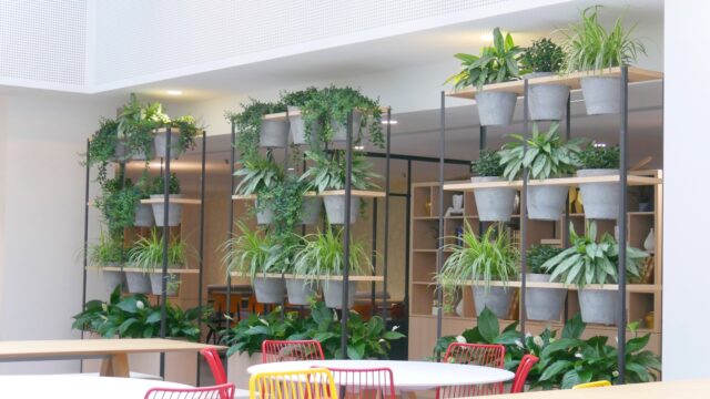 Espaces café & cafétérias
