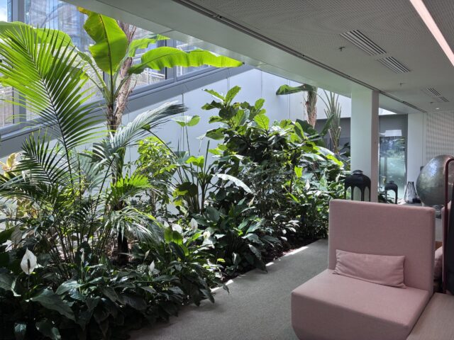 Saint Gobain
