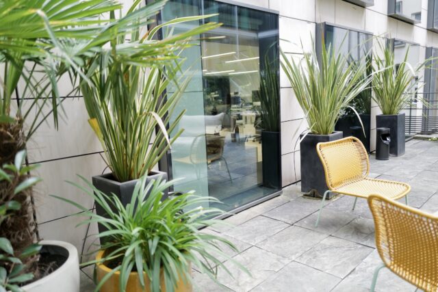 Copropriétés & Immobilier