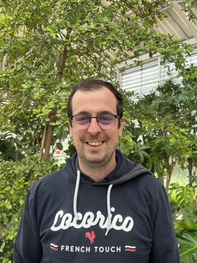Louis Bedouelle