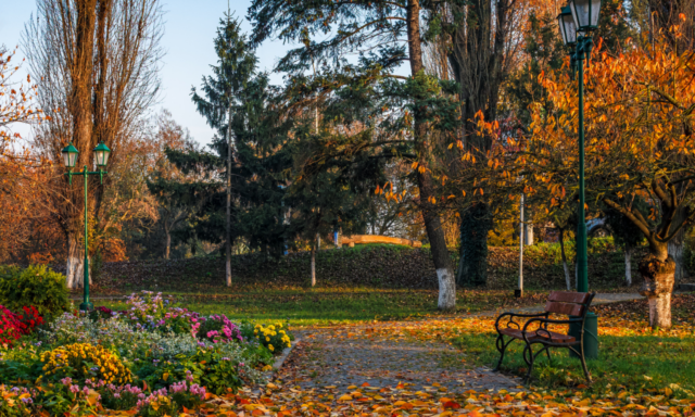 jardin automne